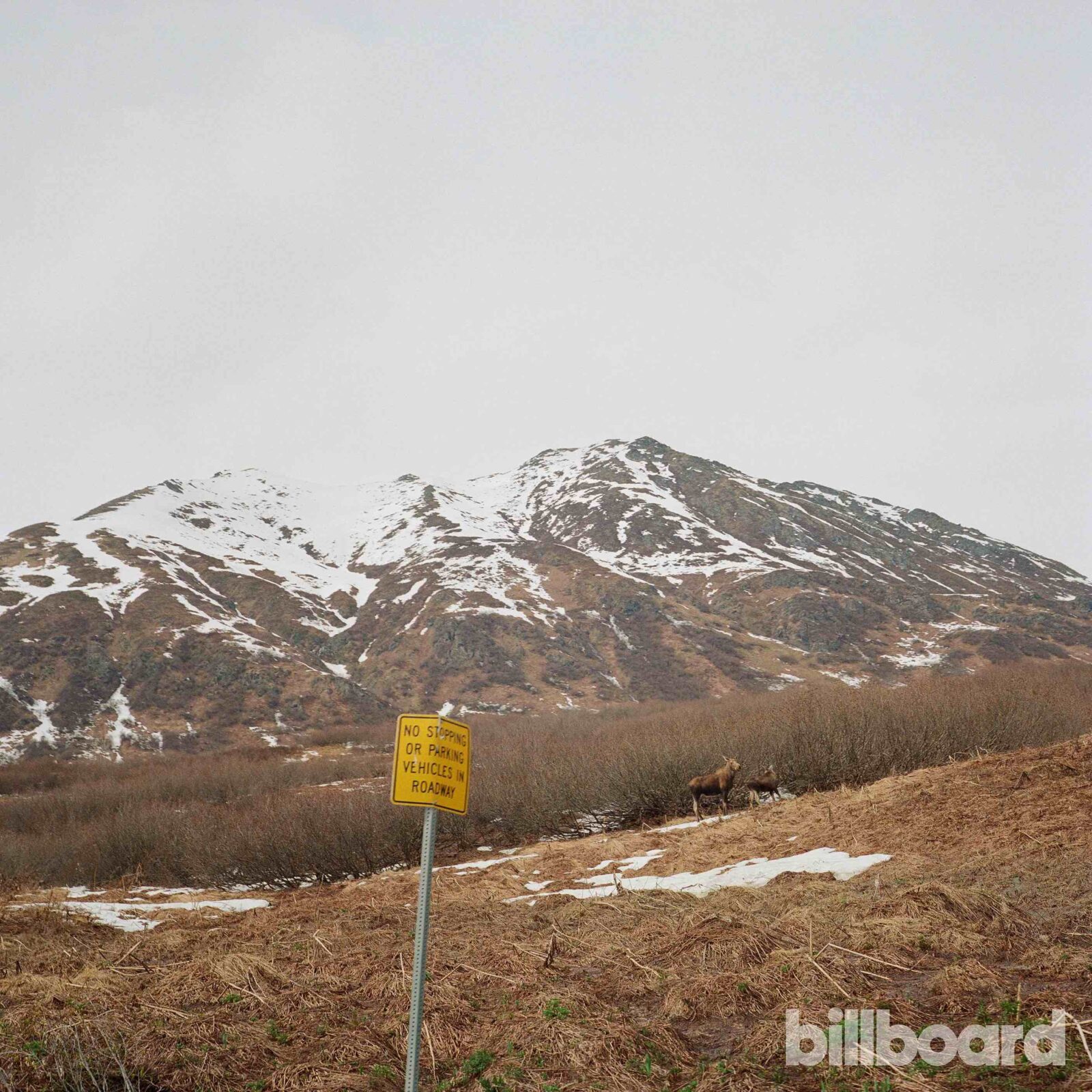 Portugal. The man in article photo 8