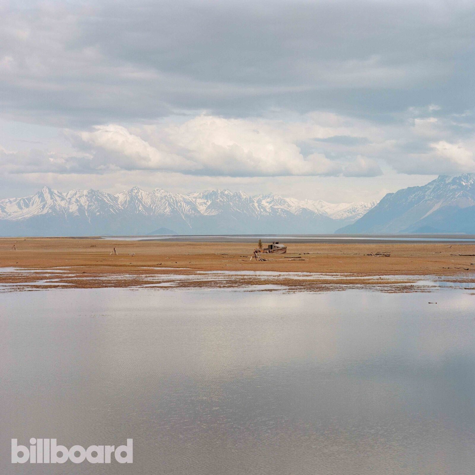 Portugal the man in article photo 6