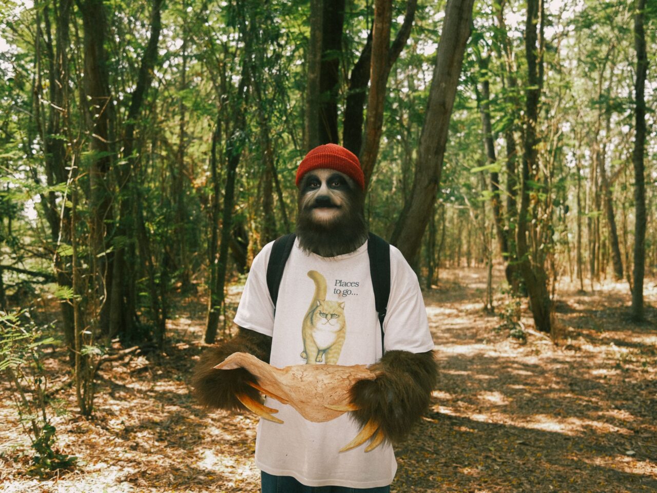 Phum Viphurit as Paul Vibhavadi