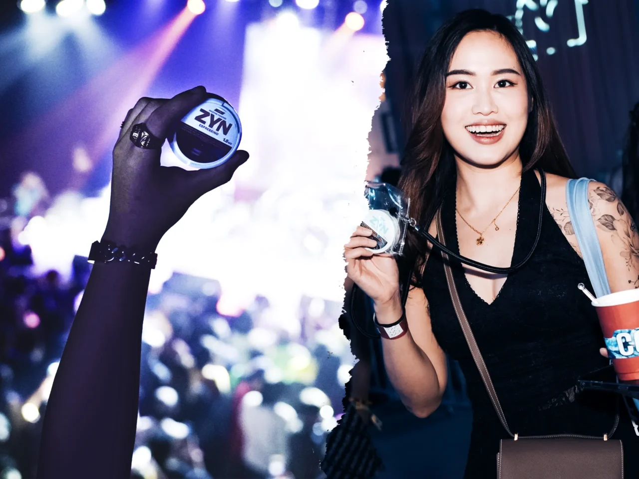 zyn nicotine pouches concert