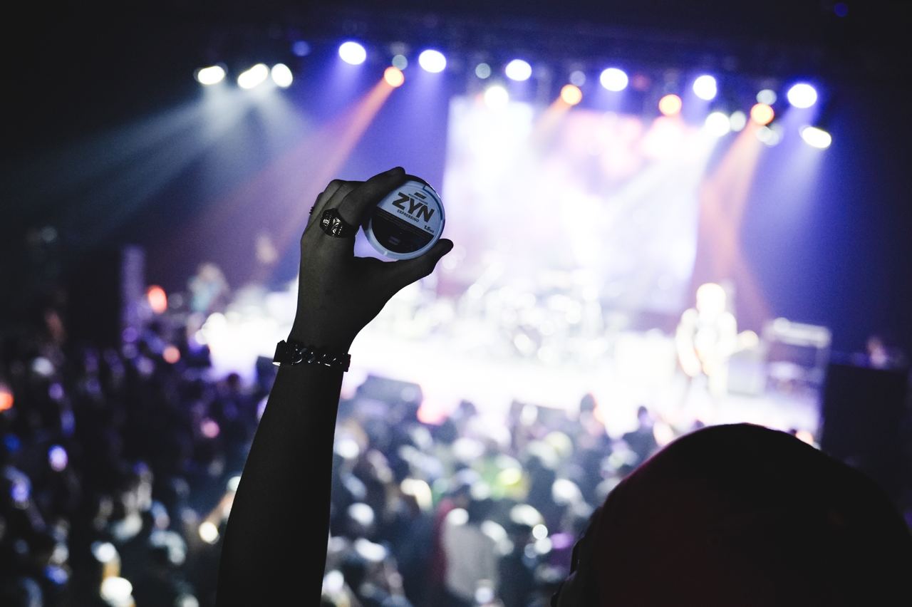 zyn nicotine pouches concert