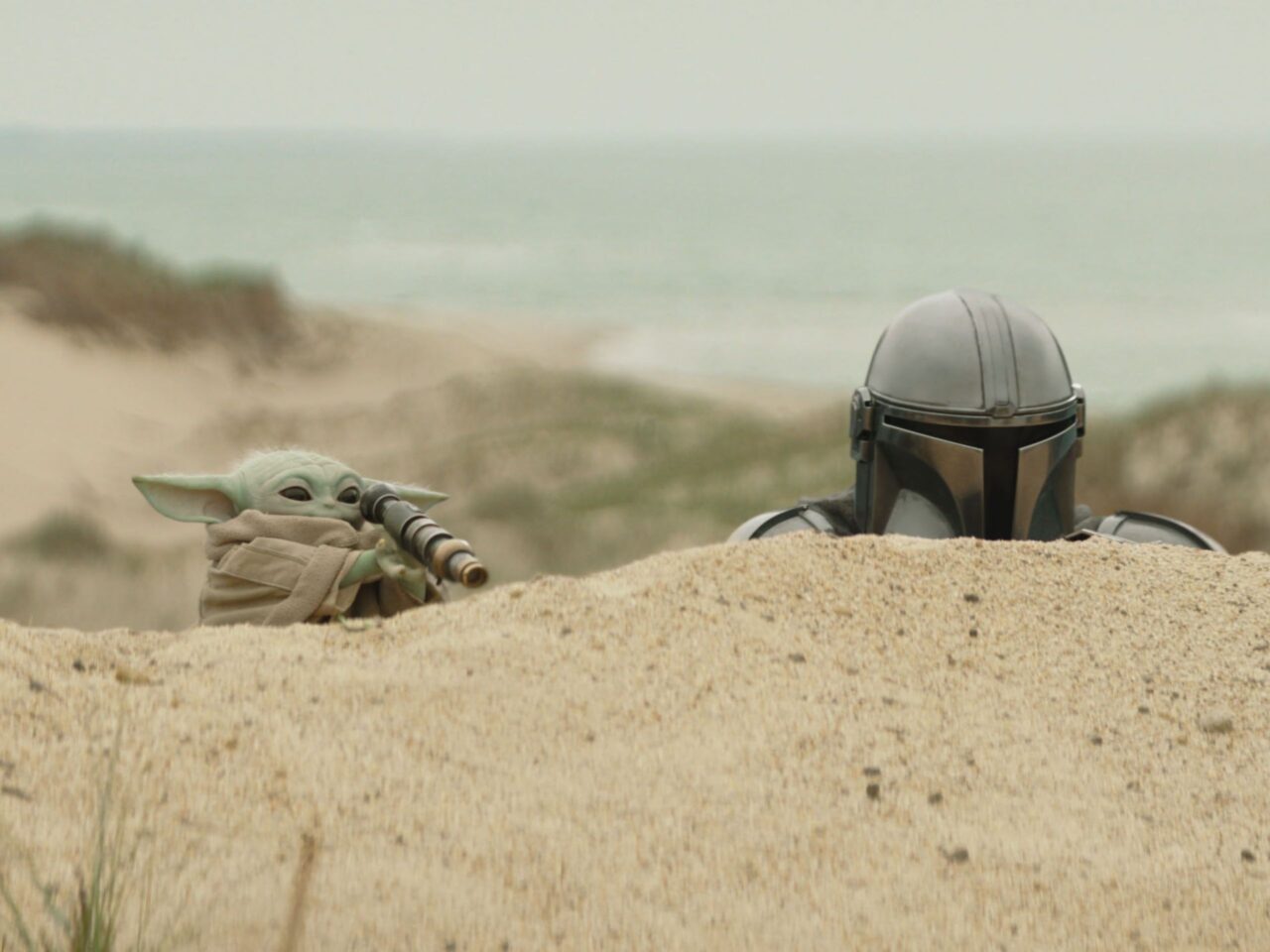 the mandalorian and grogu