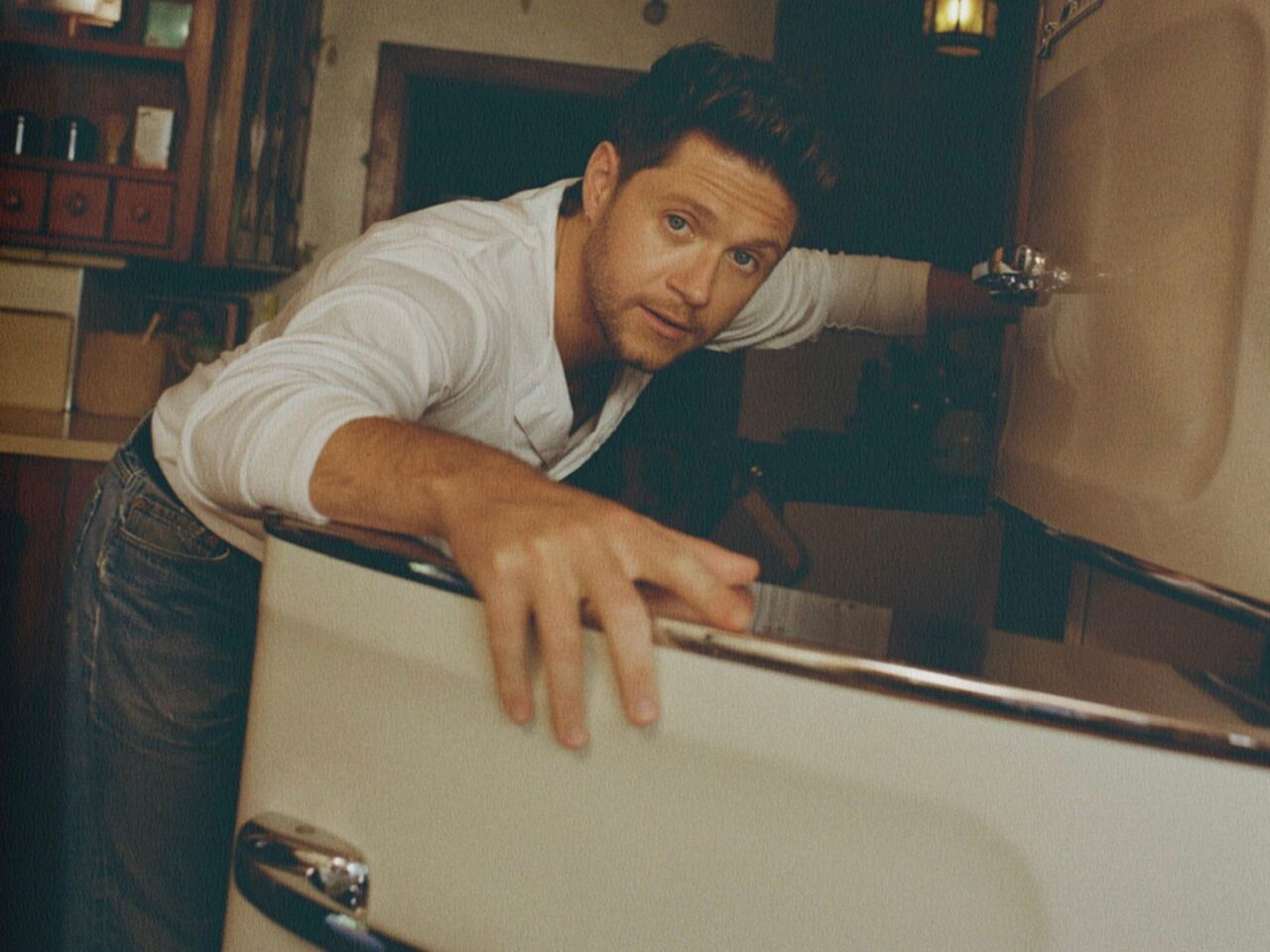 niall horan dinner party