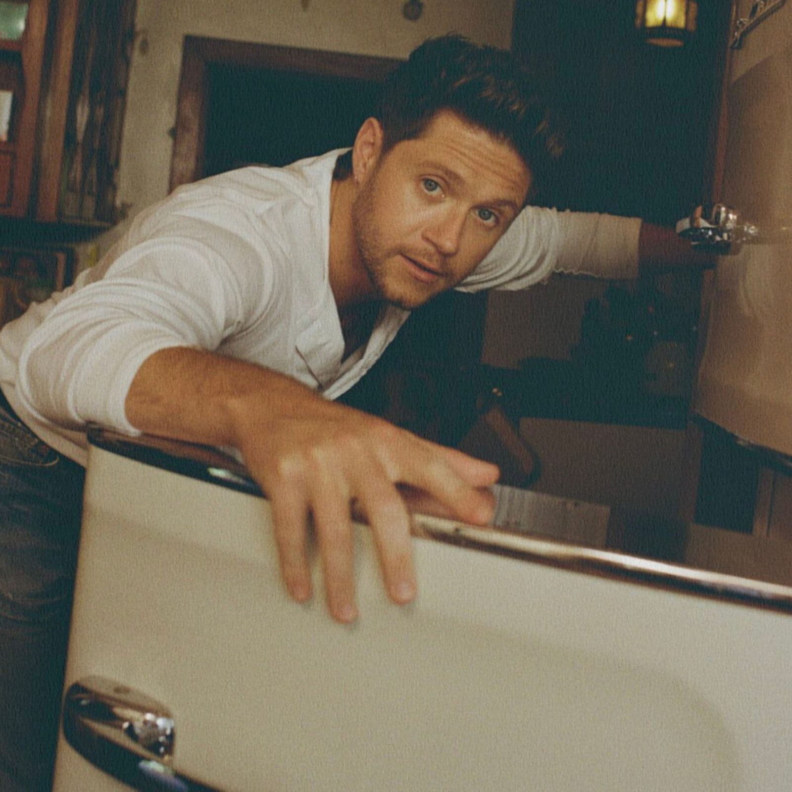 niall horan dinner party